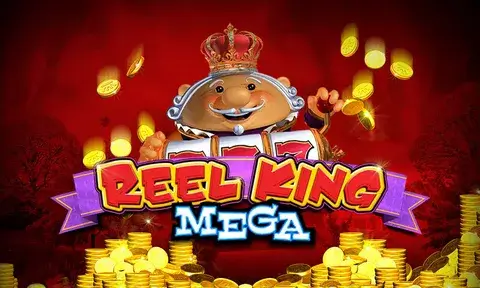 BD222 Mega Reels Exclusive Slot